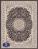 Iranian Classic 1519