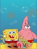 Sponge Bob Kid's room carpet code 3240-2787