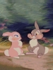 Kid's carpet with title of a clever rabbit 3402-1