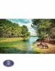 1200reeds tableau rug, 50*100 centimeters, code 2125T