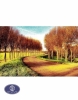 1200reeds tableau rug, 50*100 centimeters, code 2135T