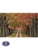 1200reeds tableau rug, 50*100 centimeters, code 2167T