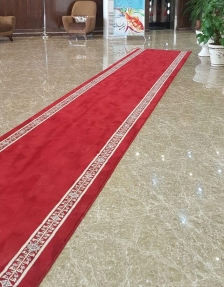 Red carpet 1