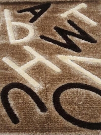 3D  shaggy carpet s110